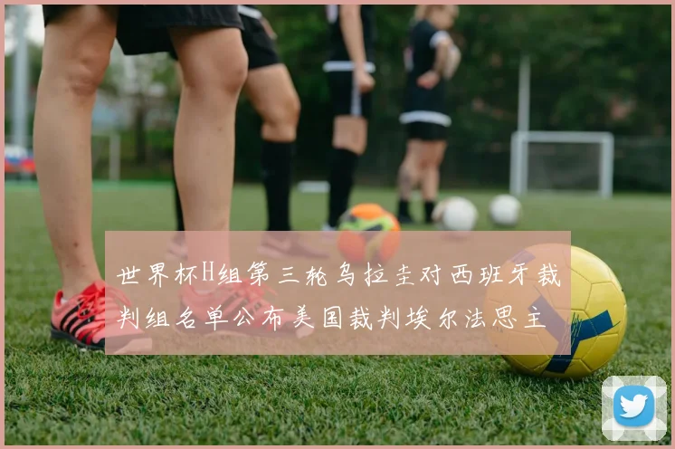 世界杯H组第三轮乌拉圭对西班牙裁判组名单公布美国裁判埃尔法思主裁判